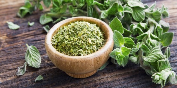 تصویر 4 از خرید و قیمت گیاه دارویی پونه + فروش صادراتی